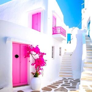 Meet your Posher, Yajaira